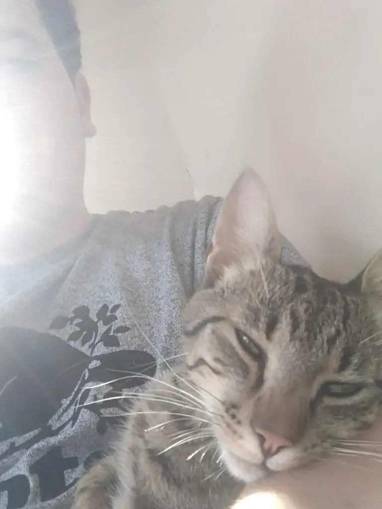 Tomo and a cat named Joe